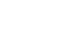 Wizards.Space Logo